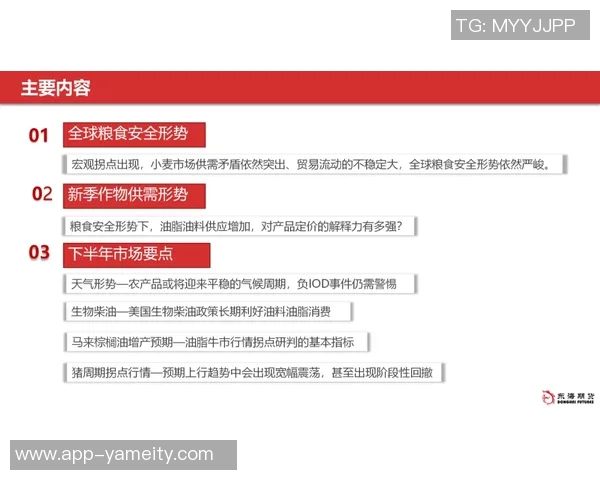 早报:34岁奥斯卡面临职业危机前景堪忧需重新审视未来发展方向